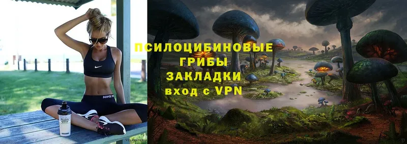 Галлюциногенные грибы MAGIC MUSHROOMS  hydra онион  Лодейное Поле  как найти  